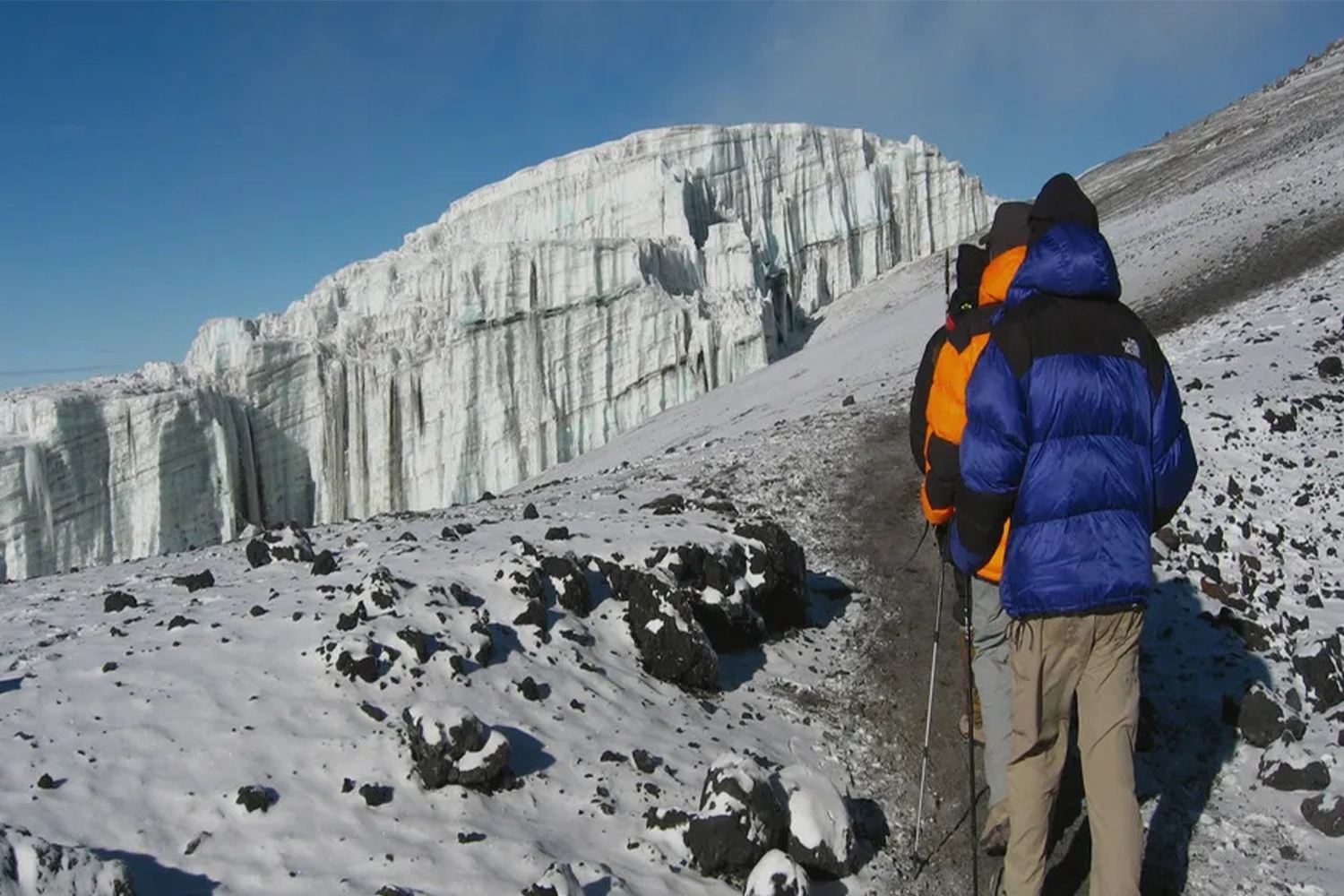 8 Days Group Joining Lemosho Route Climb