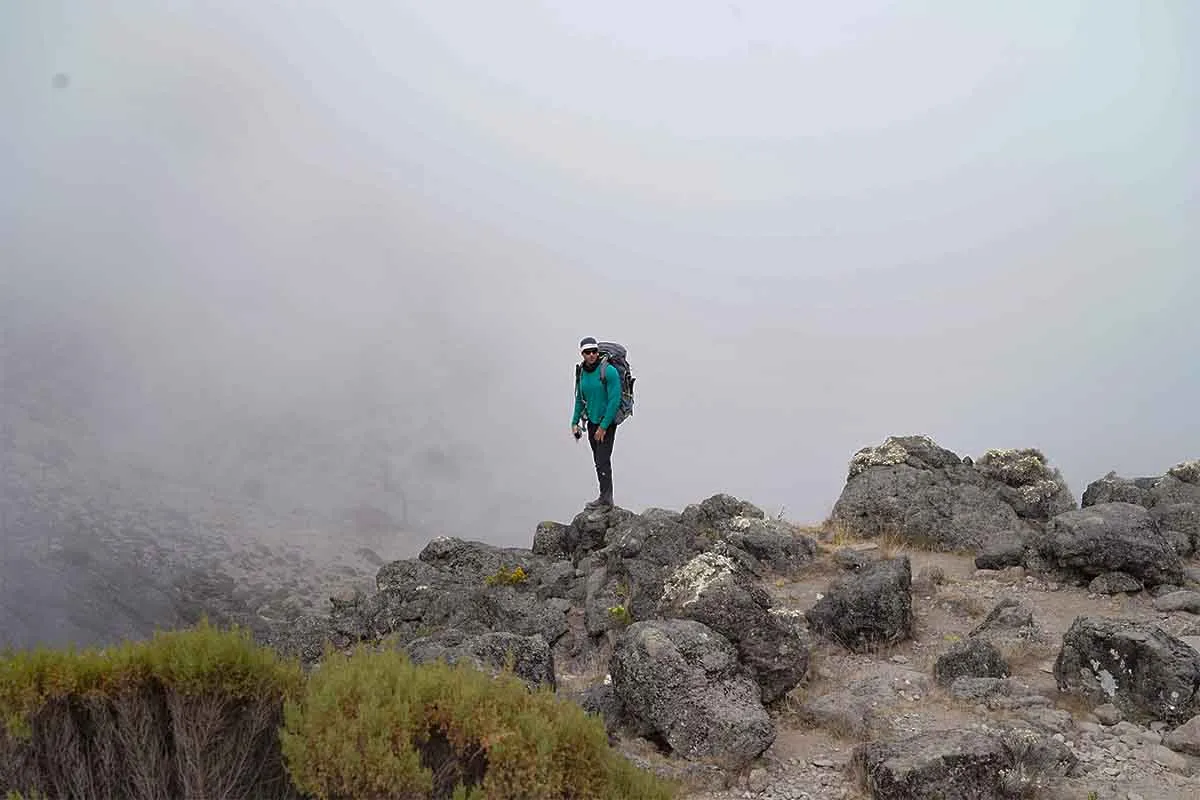 8 Days Private Lemosho Route Climb