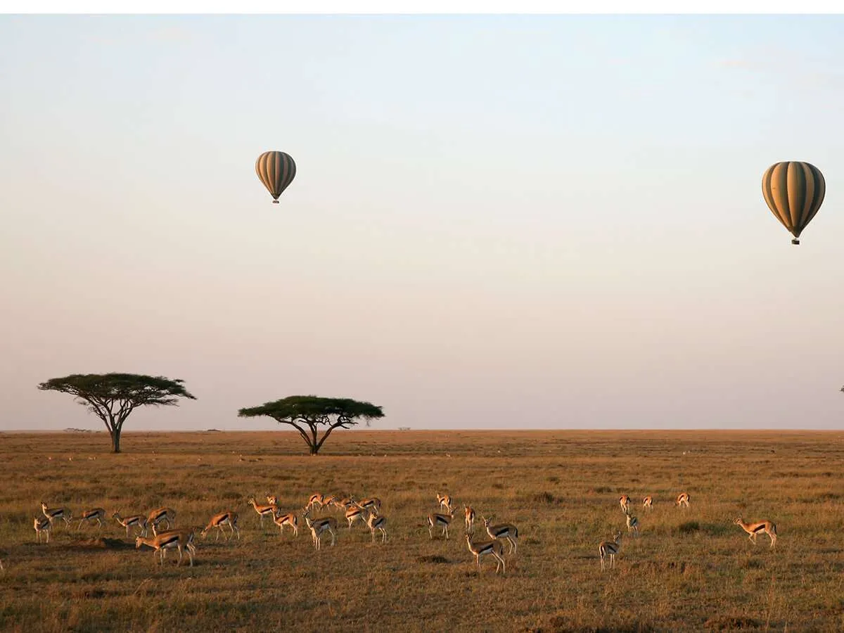 3 Days Serengeti Safari