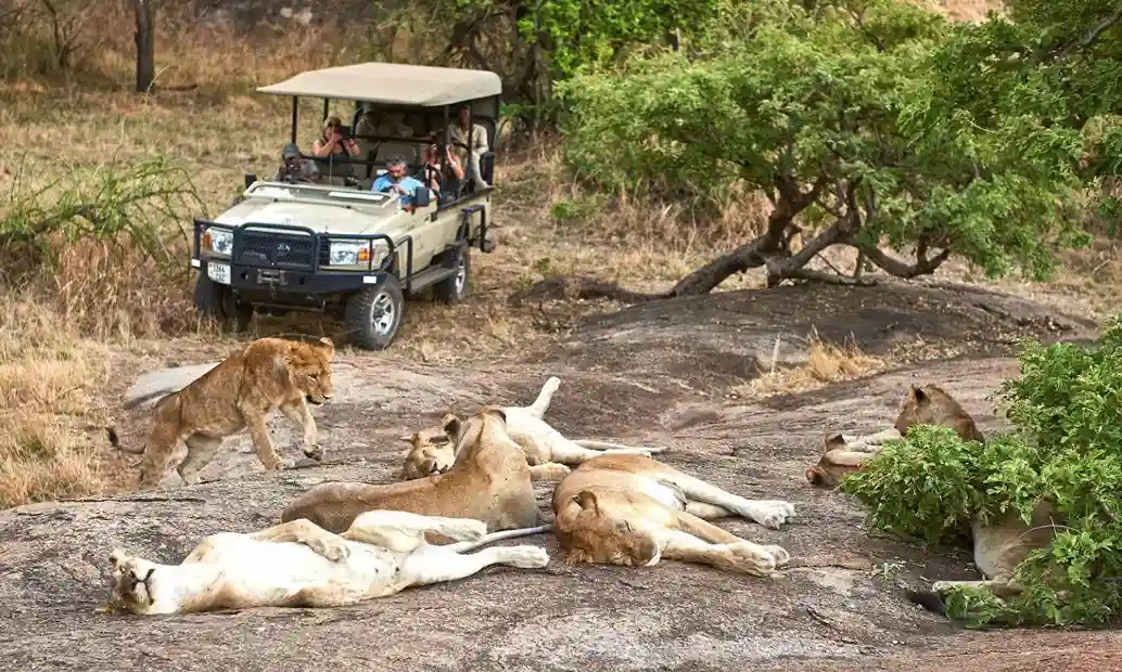 3 Days Tarangire & Ngorongoro Safari Tanzania